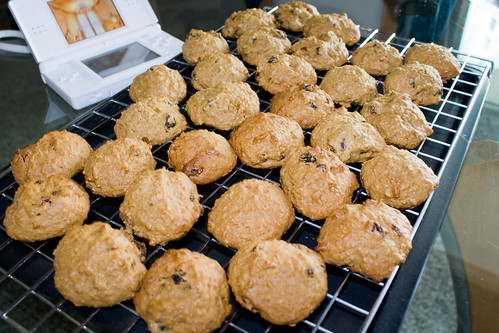 Eksperimen Oatmeal Raisins Cookies